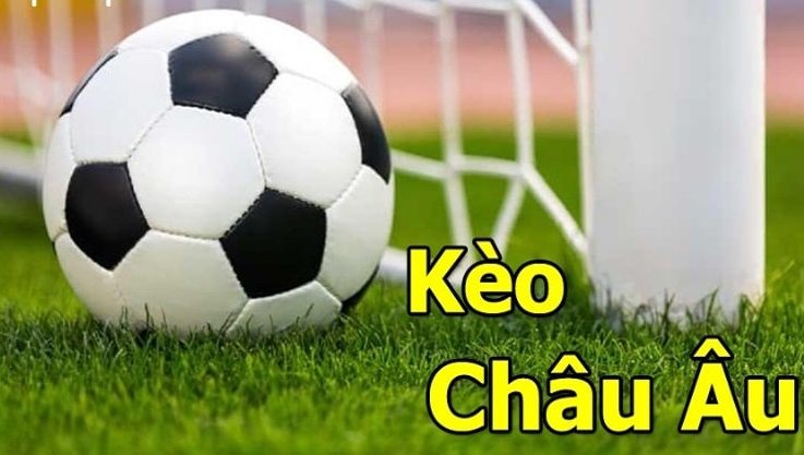 Hướng dẫn đặt cược kèo châu Âu tại Mk sport