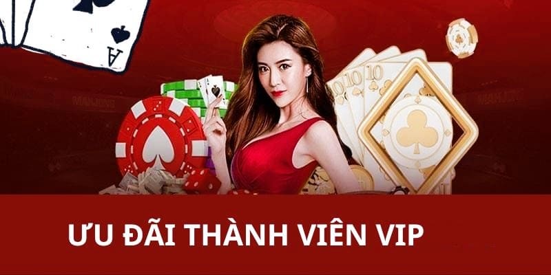 Lợi ích khuyến mãi đặc quyền khi trở thành VIP tại mk sport